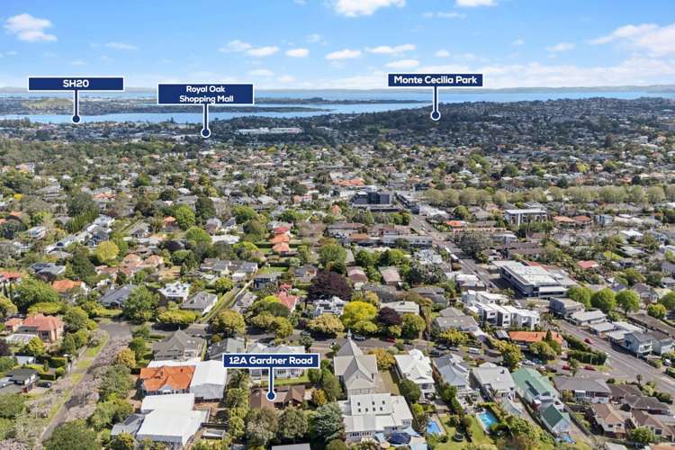 12a Gardner Road Epsom_27