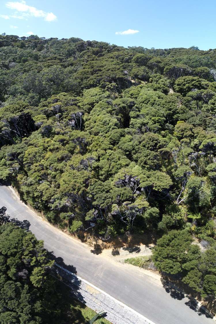 174 Shoal Bay Road Great Barrier Island (Tryphena)_12