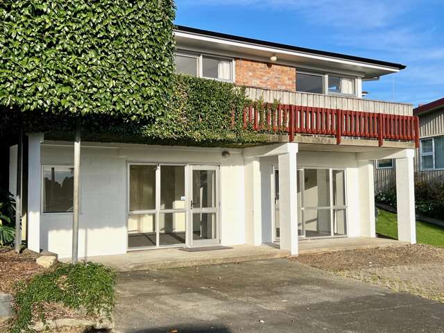 4B Bankart Street Raglan_4