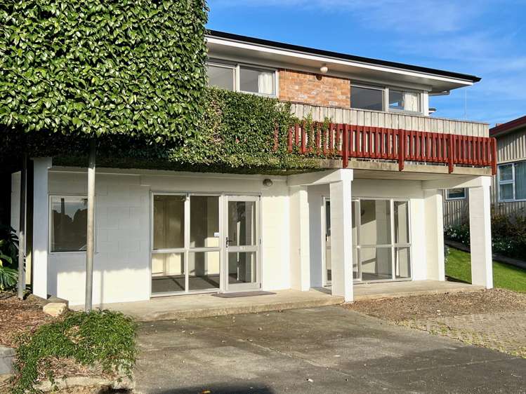 4B Bankart Street Raglan_4