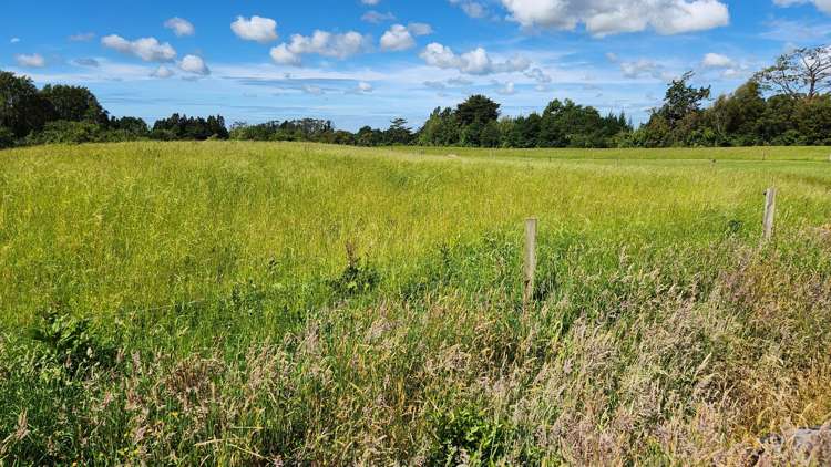 71 Lepper Road Inglewood_16