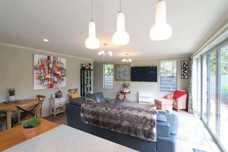 387 Herbert Street Windsor_6