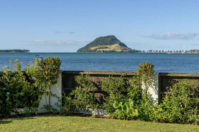 1/40 Harbour Drive Otumoetai_2
