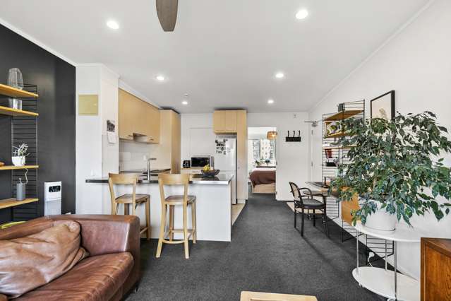 10/3 Kelvin Grove Te Aro_2