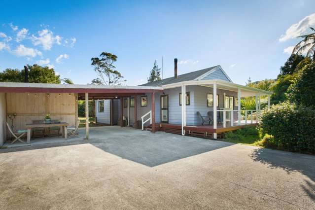 17 Princes Street Waikino_2