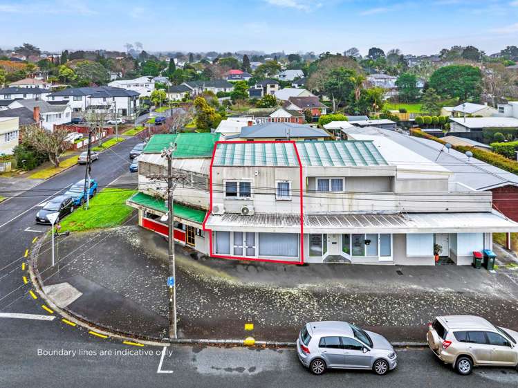 21 Garland Road Greenlane_0