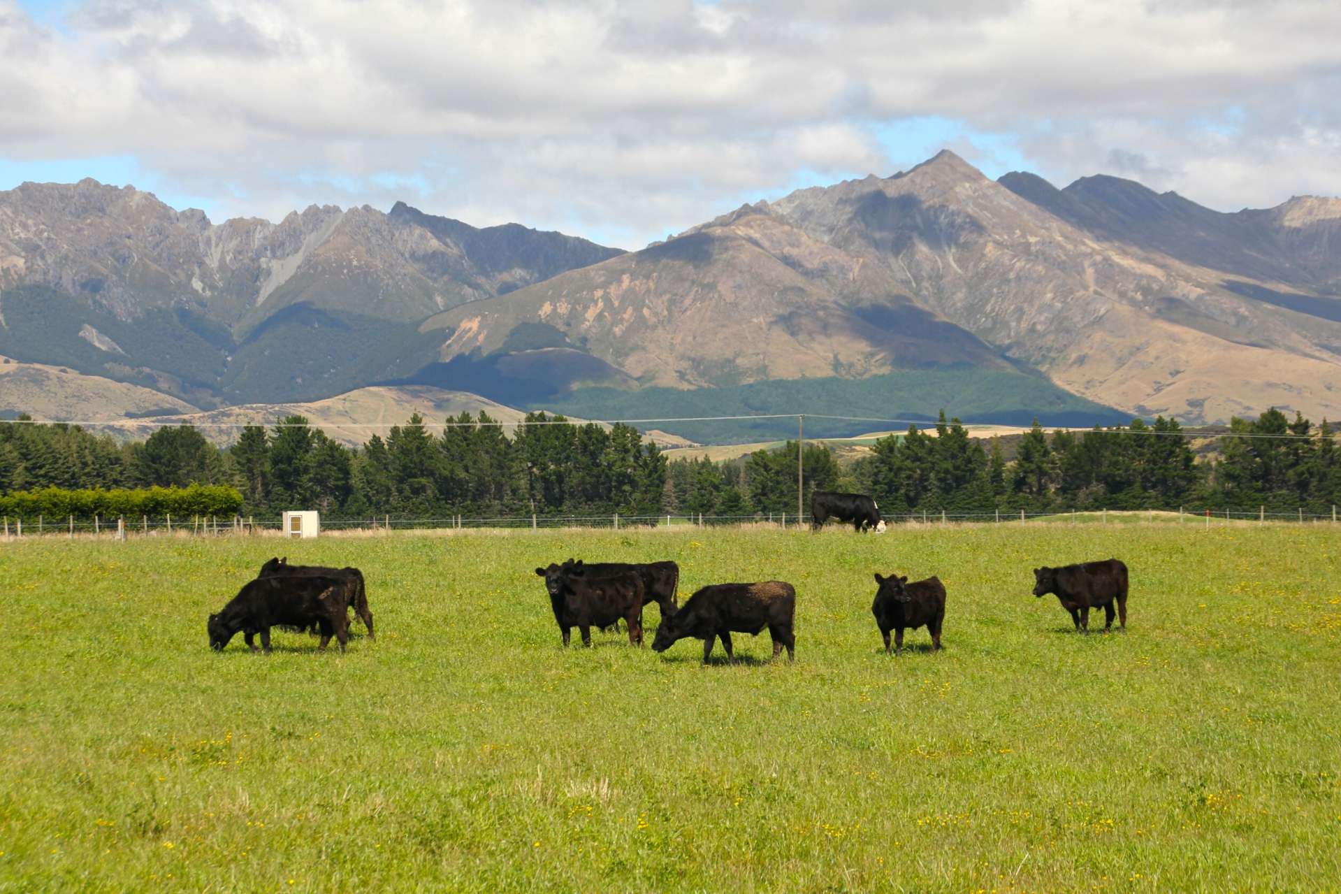 1701 Te Anau Mossburn Highway Hillside_0