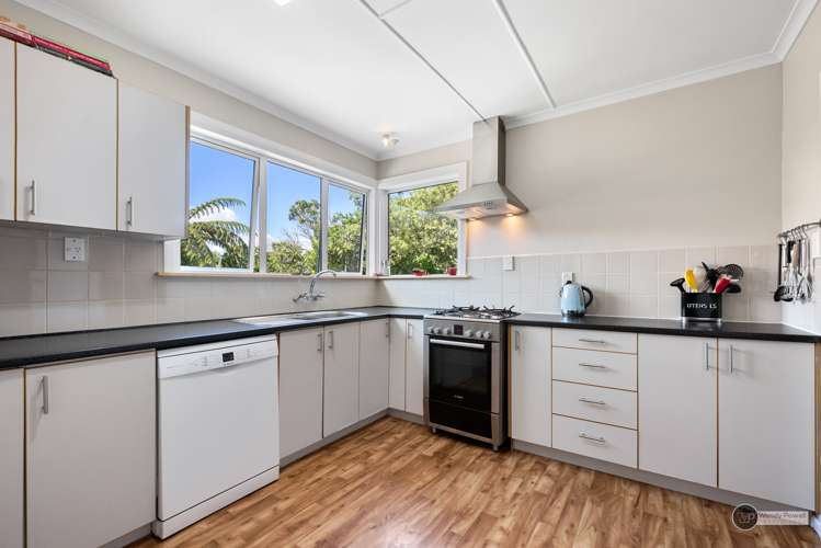 51 Poto Road Normandale_5