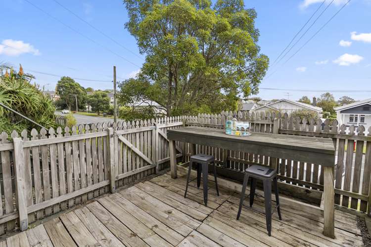 118a Williamson Avenue Grey Lynn_15