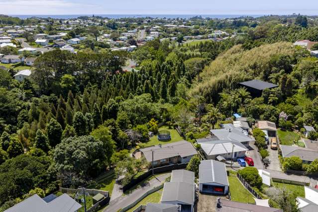 87 Waimea Street Frankleigh Park_2