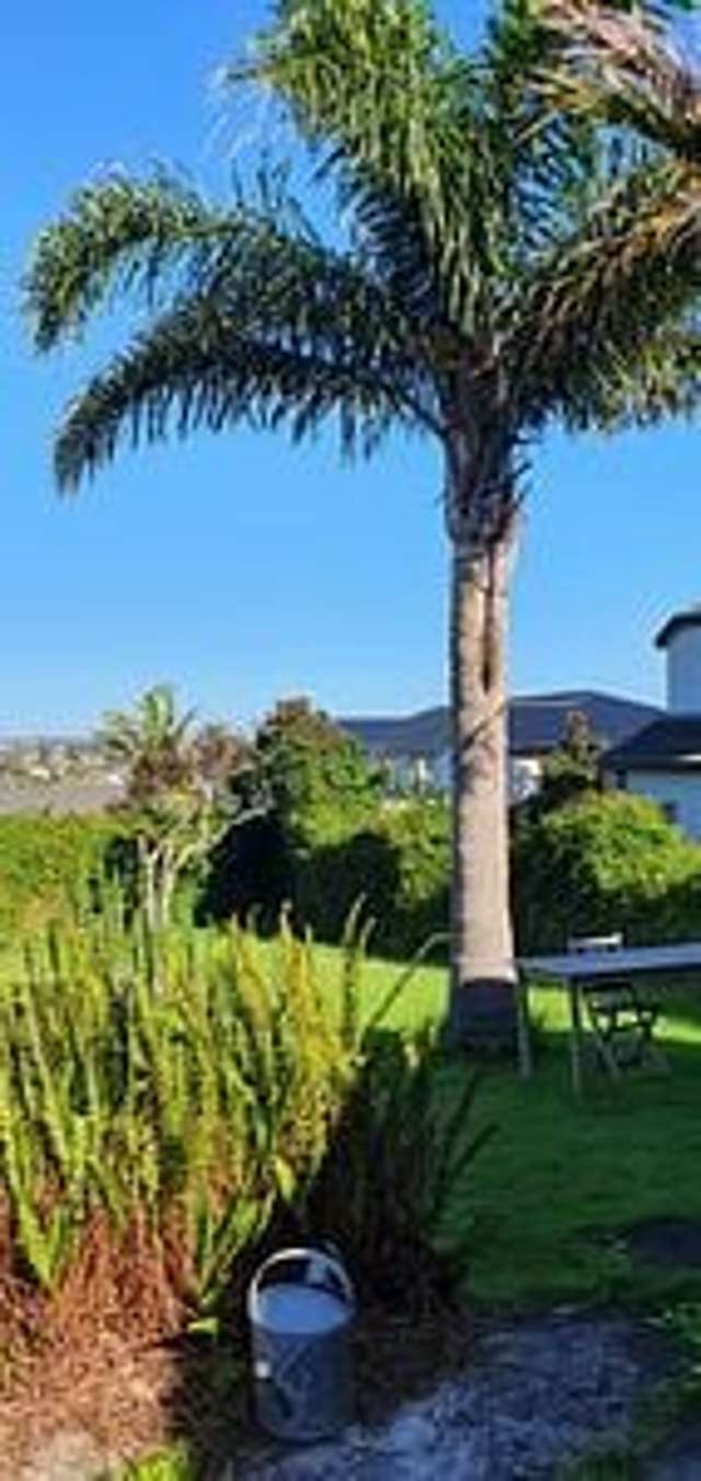 12A Highland Road Mount Albert_1