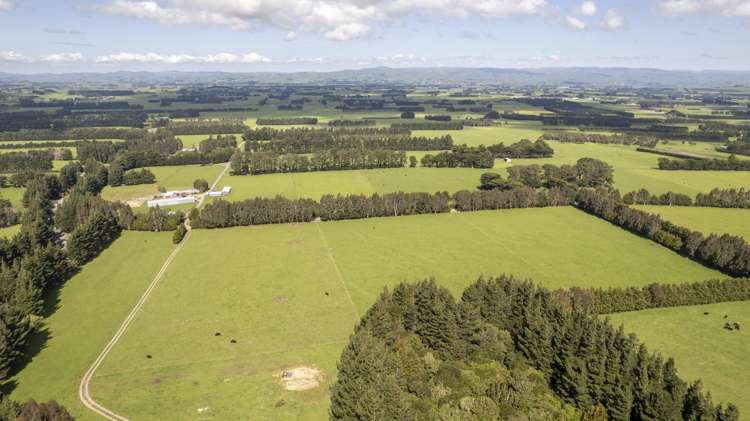 189 Thorburn Road Dannevirke_15