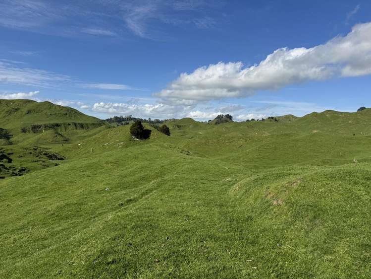 268a Tiriraukawa Road Taihape_13