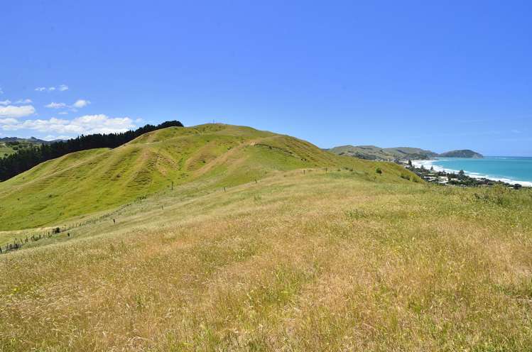 698 Wainui Road Wainui_19