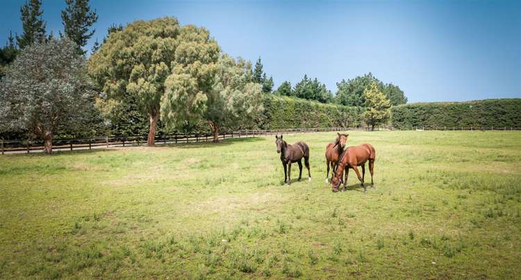 496 Knyvetts Road Southbridge_22