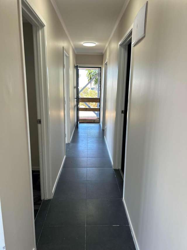 Matthews Road Flat Bush_1