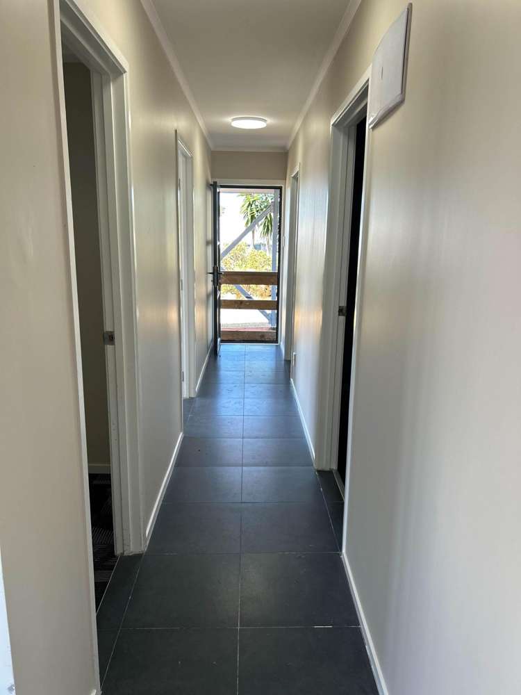 Matthews Road Flat Bush_1