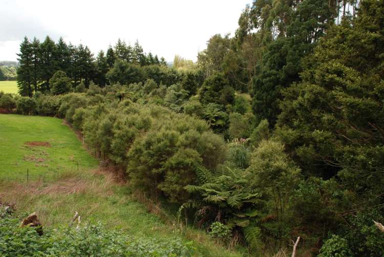 1358 State Highway 14 Maungatapere_16