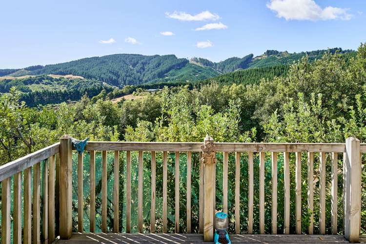 412 Flightys Road Judgeford_22