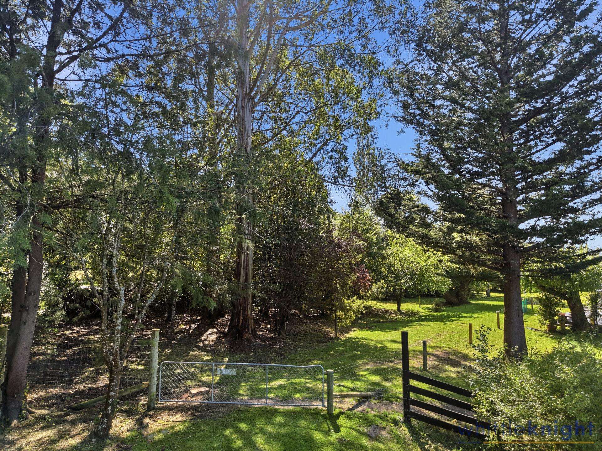 10 Philip Street Glentunnel_0