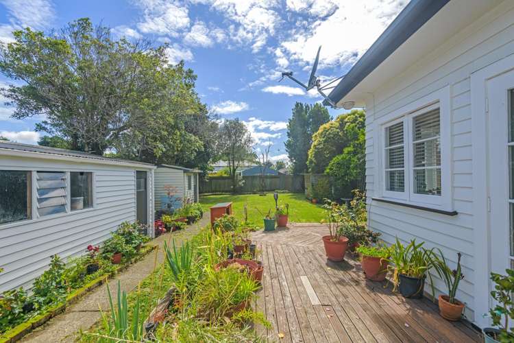 26 Kauri Street Roslyn_9