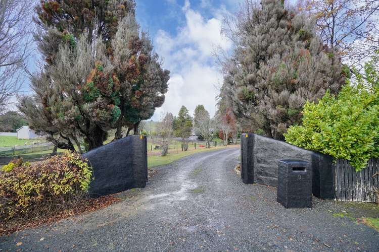 9 Dryfe Street Nightcaps_24