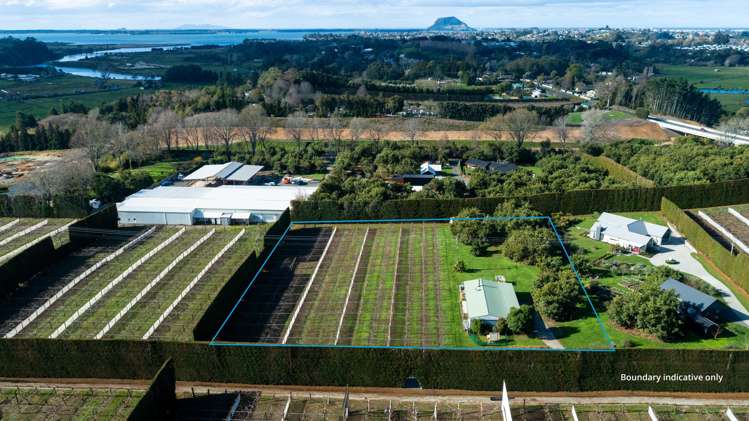 154B Wairoa Road Te Puna_1