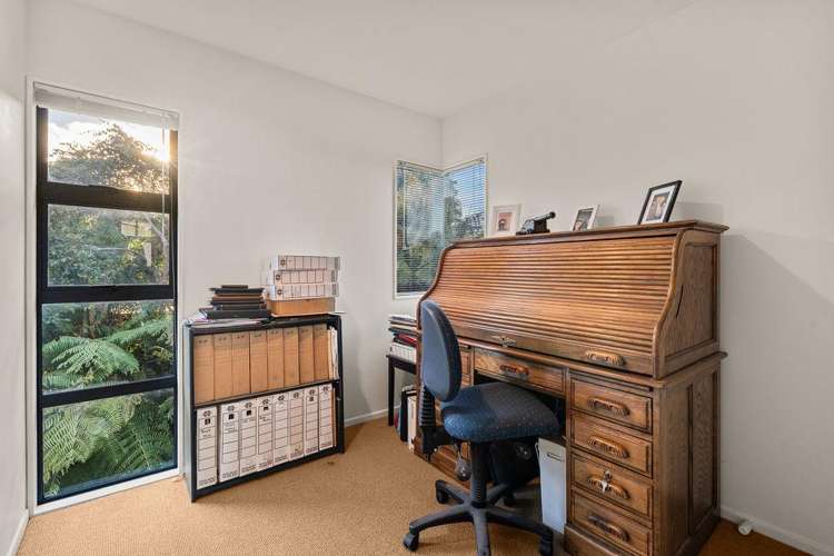 20a Scantlebury Street Tauranga South_8