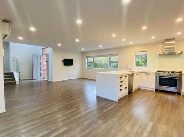 45 Ellis Avenue Mount Roskill_1