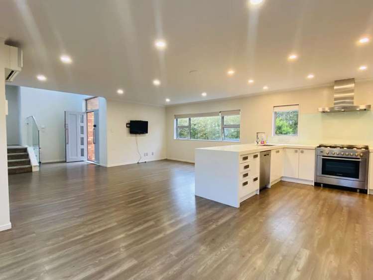 45 Ellis Avenue Mount Roskill_1