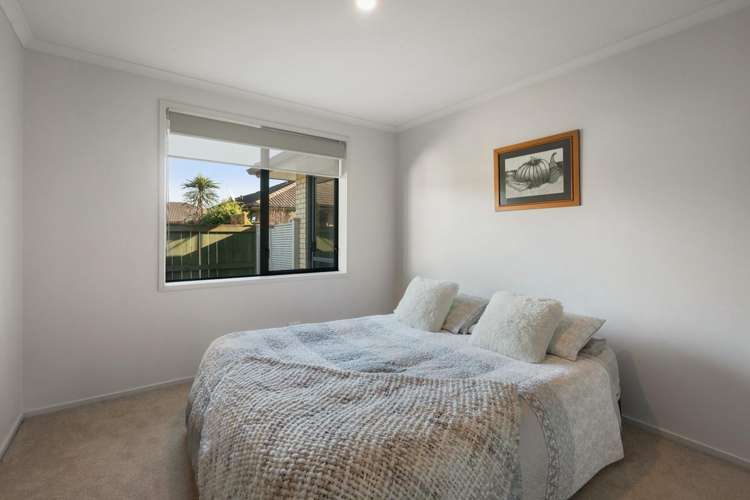 3a Cresta Drive Katikati_10