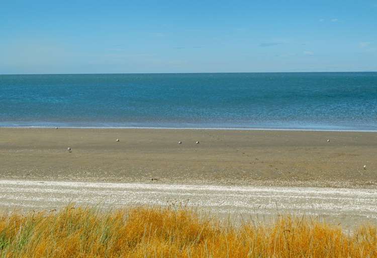 1060 Collingwood-Puponga Main Road Kahurangi National Park_10