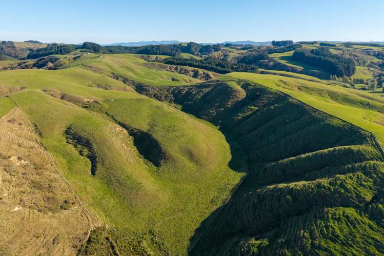 Ridge Road North Pahiatua_8