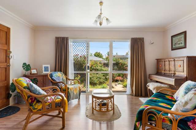 7 Ayton Street Mangapapa_2