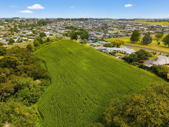 6 Seales Road Morrinsville_3