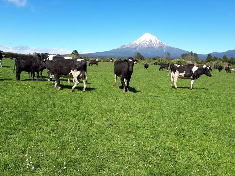 1971 Egmont Road Kaimiro_21