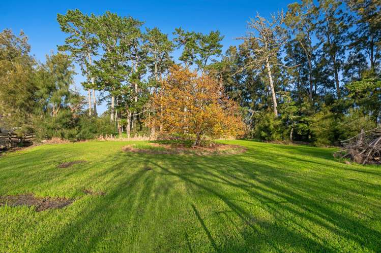 2312 State Highway 16 Helensville_27