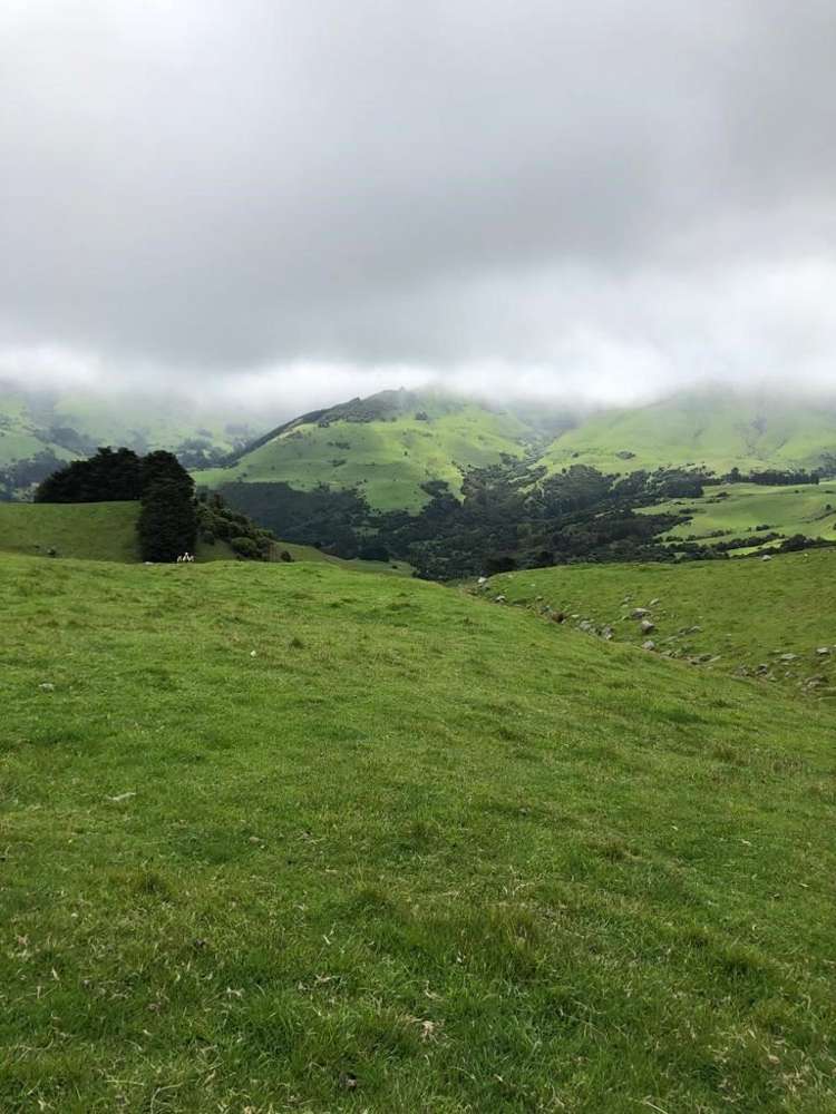 4990 Christchurch Akaroa Road Little River_18