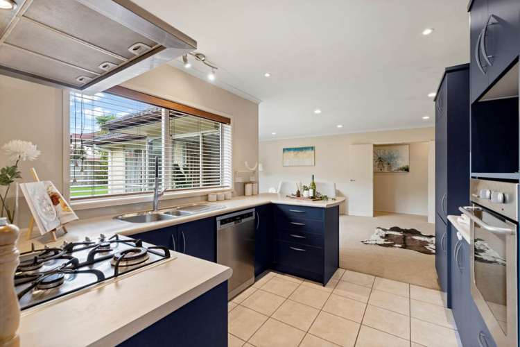 3 Borthwick Close Flat Bush_9