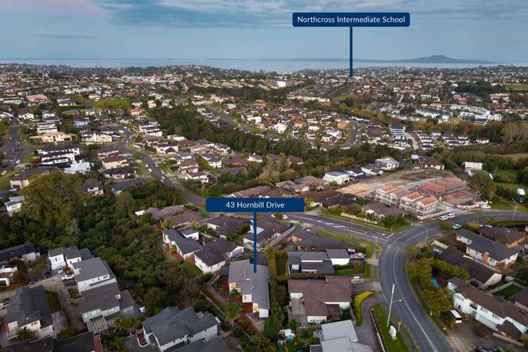 43 Hornbill Drive Albany_16