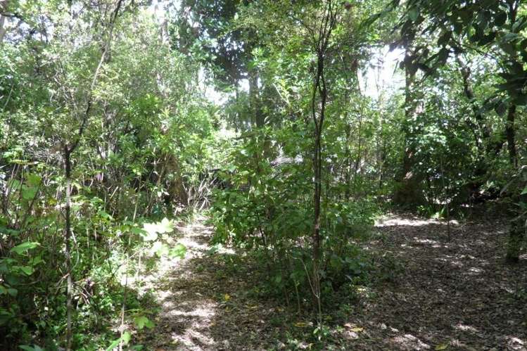 4 Terrace Street Marton_22