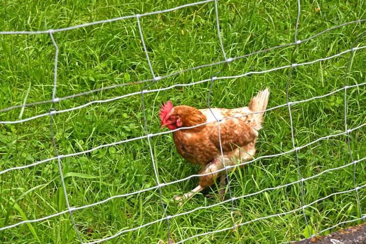 48a Norana Road Timberlea_22