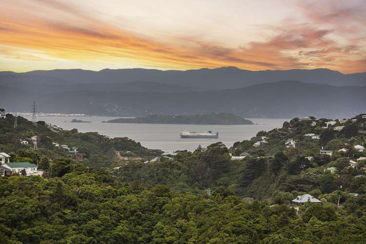 51 Winston Street Crofton Downs_21