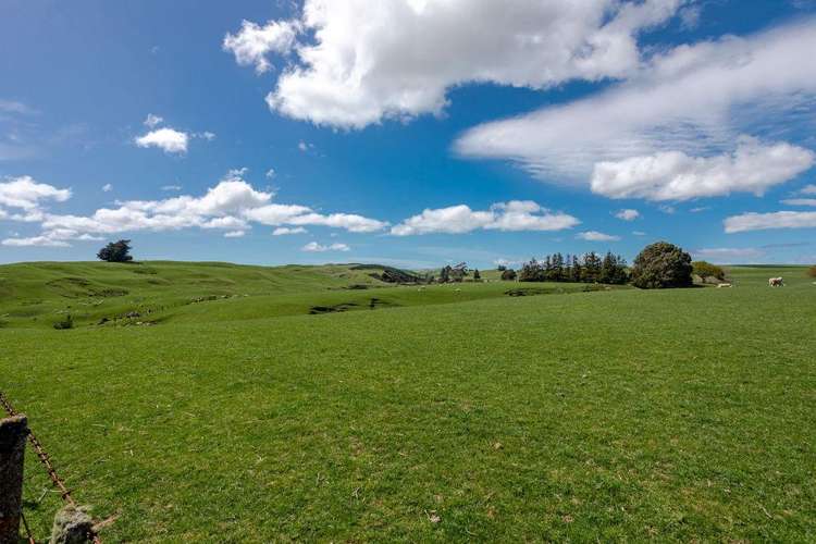 680 Cowper Road Dannevirke_17