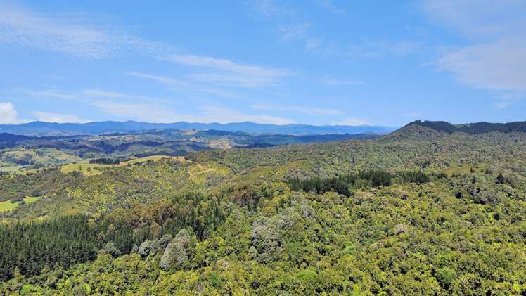 700 Burma Road Maraetotara_12
