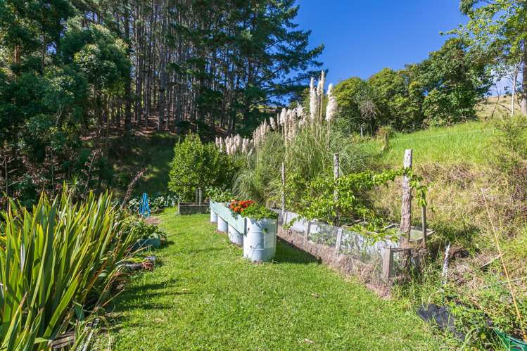 1740 SH25, Manaia Road Coromandel_16