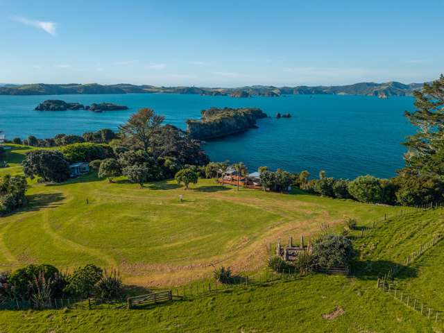 Share 2 Moturoa Island Russell_3