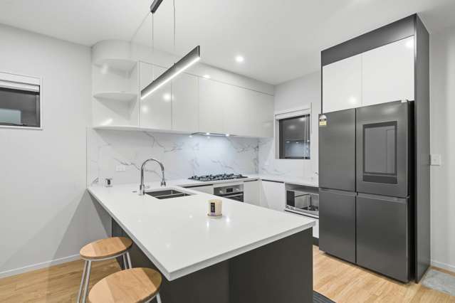 16A Goodfellow Lane Flat Bush_4