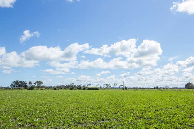 647 Te Kowhai Road Ruawai_1