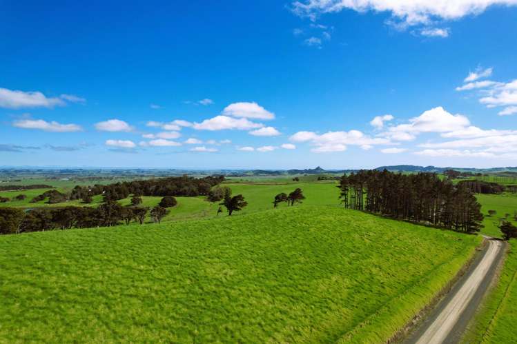 Rehia Road Ruawai_12